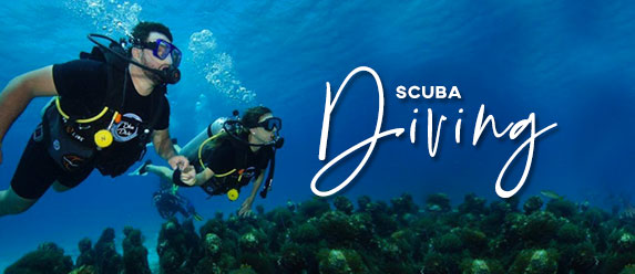 Scuba diving tour in Cancun